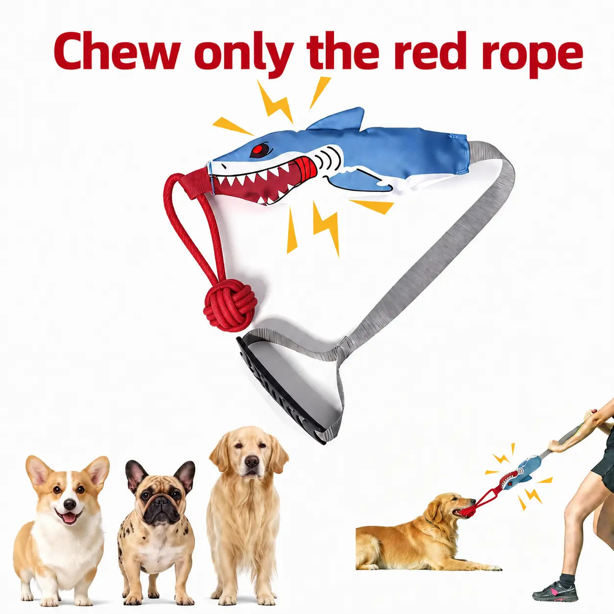 Kawiwi Interactive Dog Tug Toy - Safe Tug of War Squeaky Rope for Small & Medium Dogs, Promotes Bonding and Energy Conservation for Indoor & Outdoor Play (Not a Chew Toy, Supervised Use Only)