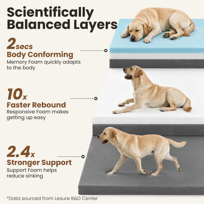 Lesure Realortho Orthopedic Dog Bed for Joint Support in Large and Senior Canines