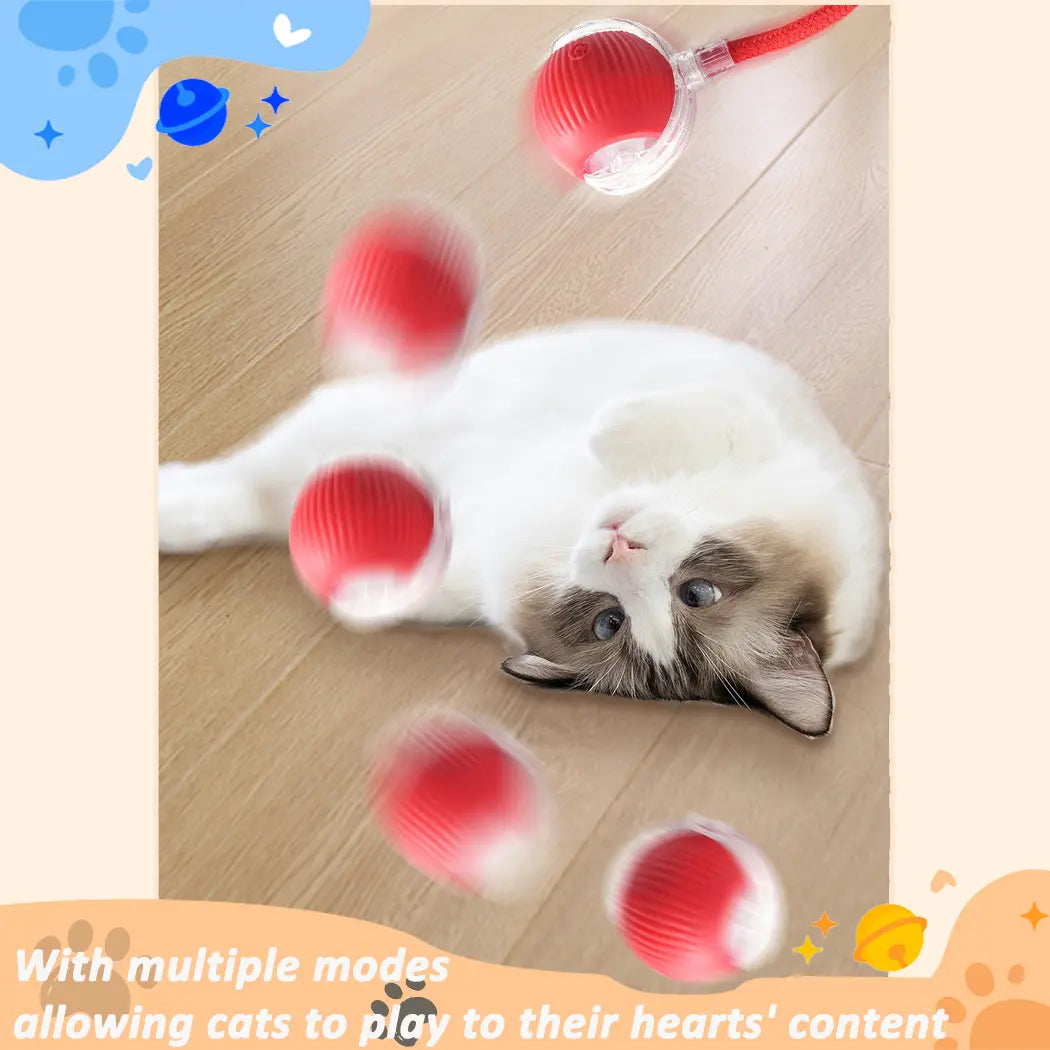 Automatic Rolling Bird Song Ball Toy for Cats and Dogs - Interactive Electric Chasing Toy and Pet Supplies