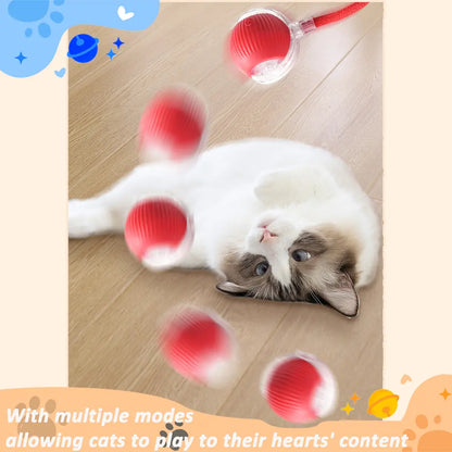 Automatic Rolling Bird Song Ball Toy for Cats and Dogs - Interactive Electric Chasing Toy and Pet Supplies