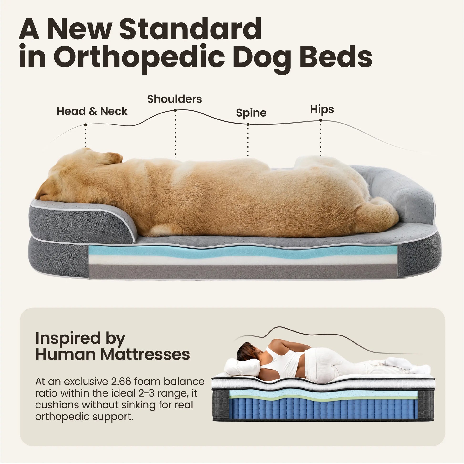 Lesure Realortho Orthopedic Dog Bed for Joint Support in Large and Senior Canines