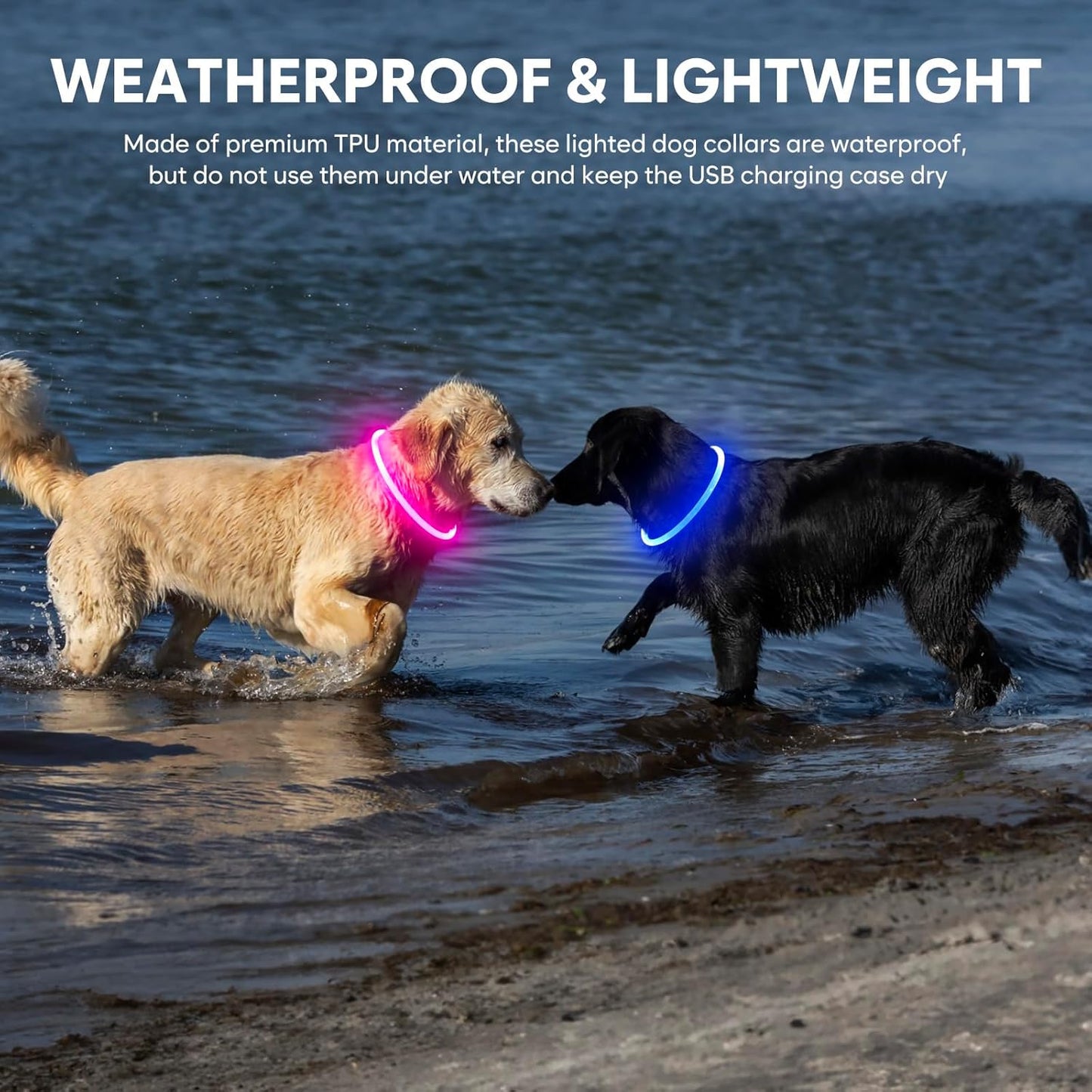 Rechargeable Waterproof LED Dog Collar - Customizable TPU Glow-in-the-Dark Light for Night Walking (Pink)