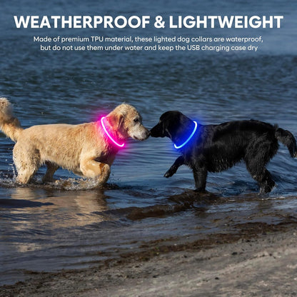 Rechargeable Waterproof LED Dog Collar - Customizable TPU Glow-in-the-Dark Light for Night Walking (Pink)