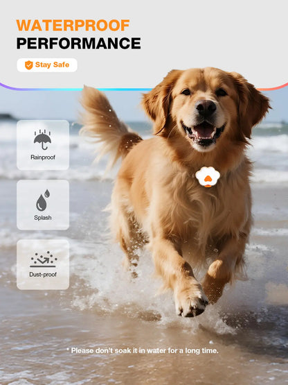 Lekereise USB-C Rechargeable LED Dog Collar Light – Six Modes, Waterproof Silicone Safety Collar for Night Walking, Running, and Camping
