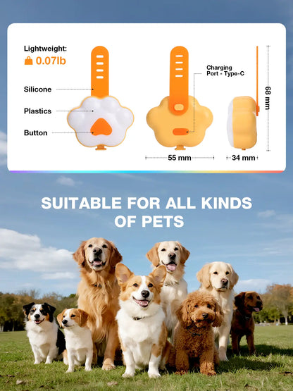 Lekereise USB-C Rechargeable LED Dog Collar Light – Six Modes, Waterproof Silicone Safety Collar for Night Walking, Running, and Camping