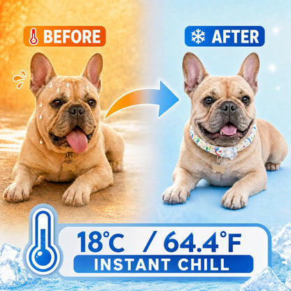 Premium Reusable Pet Cooling Collar with 64°F PCM Ice Ring for Dogs and Cats, Sweat-Free Design for Instant Heat Relief, Ideal for Summer Outdoor Activities, Travel, and Heatstroke Prevention, Safe TPU Construction for All Breeds
