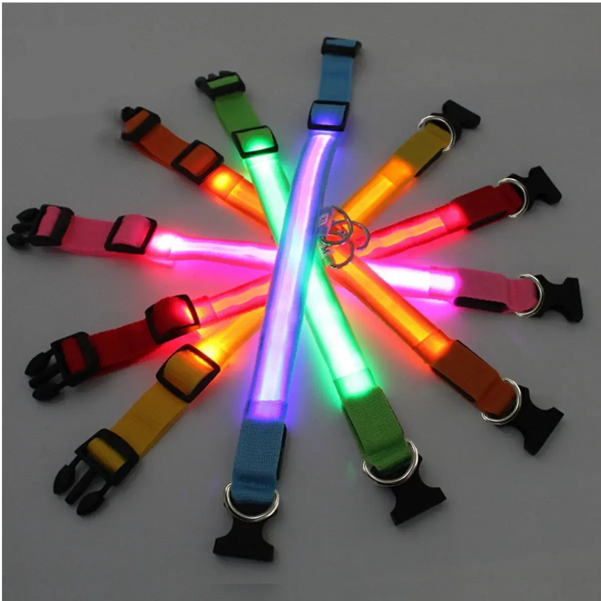 Illuminated LED Dog Collar