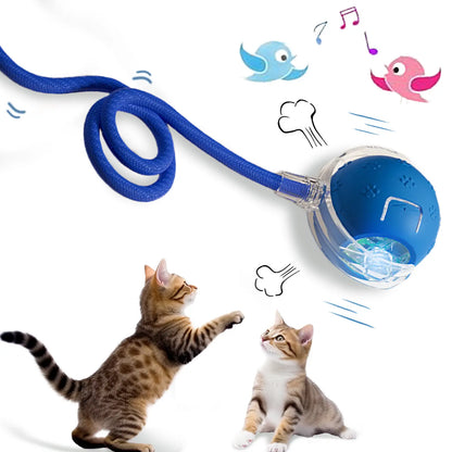 Automatic Rolling Bird Song Ball Toy for Cats and Dogs - Interactive Electric Chasing Toy and Pet Supplies
