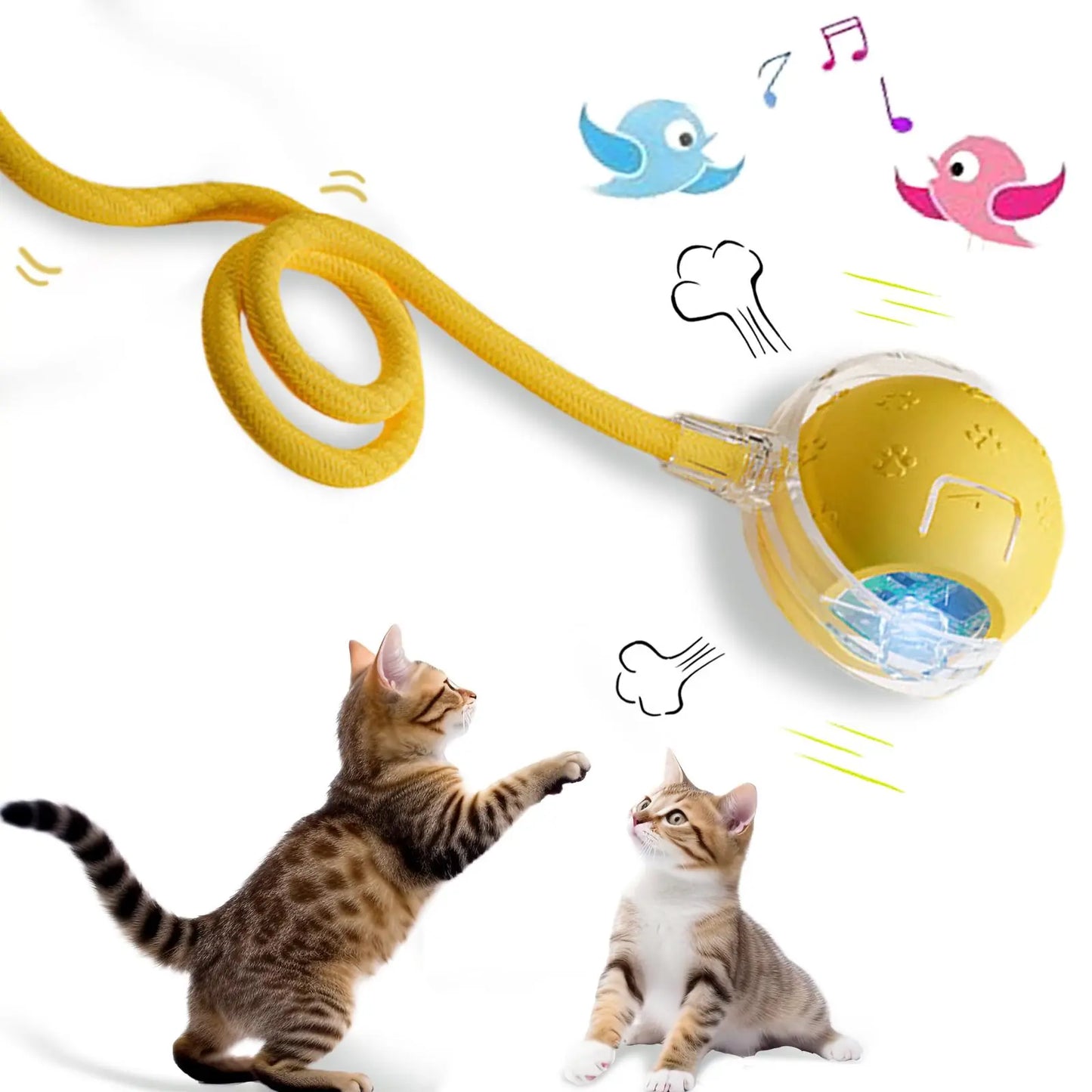 Automatic Rolling Bird Song Ball Toy for Cats and Dogs - Interactive Electric Chasing Toy and Pet Supplies