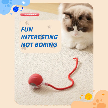 Automatic Rolling Bird Song Ball Toy for Cats and Dogs - Interactive Electric Chasing Toy and Pet Supplies