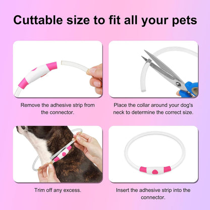 Rechargeable Waterproof LED Dog Collar - Customizable TPU Glow-in-the-Dark Light for Night Walking (Pink)