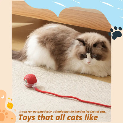 Automatic Rolling Bird Song Ball Toy for Cats and Dogs - Interactive Electric Chasing Toy and Pet Supplies