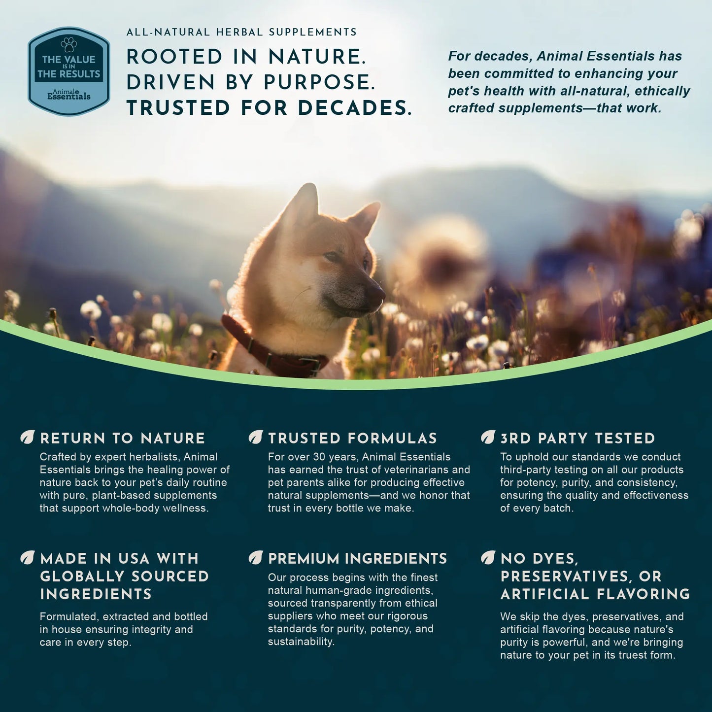 Sea-Dent Anti-Plaque Powder for Dogs and Cats - Dental Support with Organic Kelp and Plant Enzymes