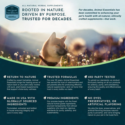Sea-Dent Anti-Plaque Powder for Dogs and Cats - Dental Support with Organic Kelp and Plant Enzymes