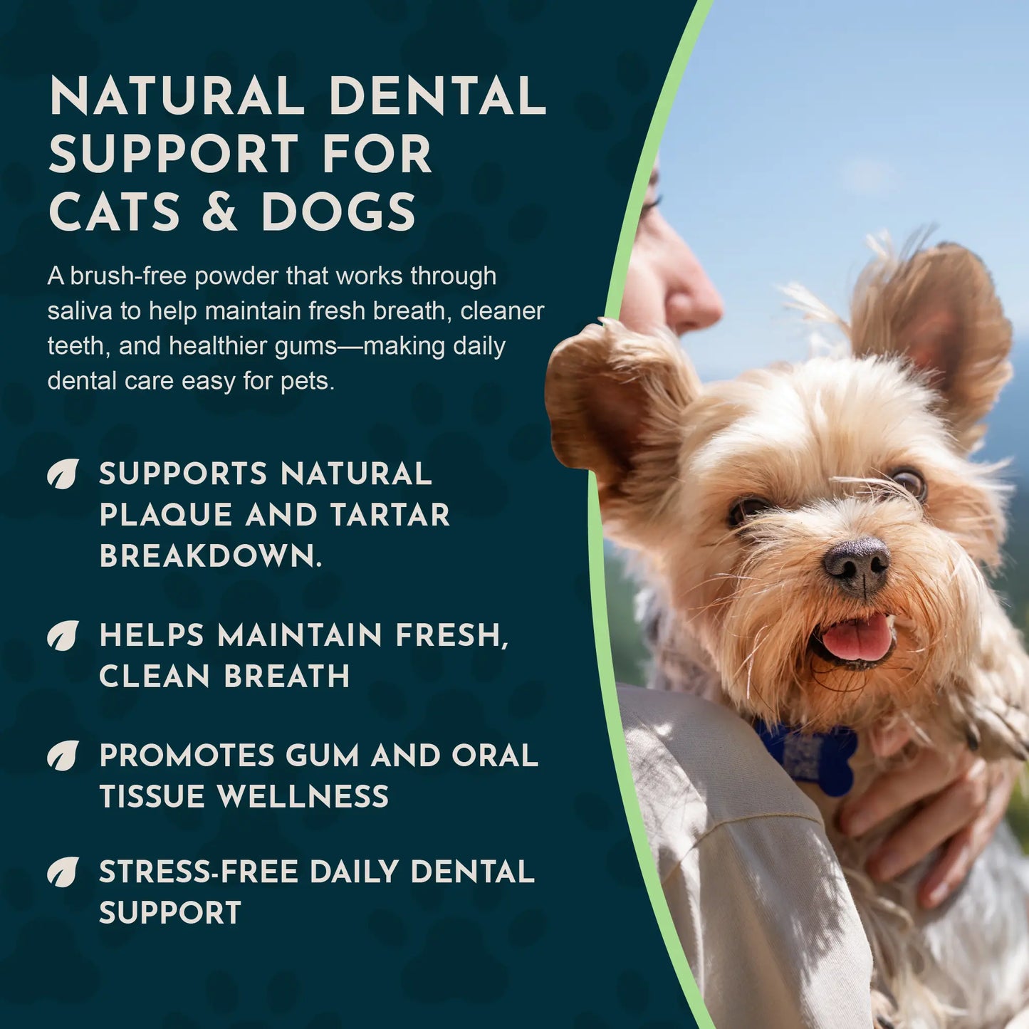 Sea-Dent Anti-Plaque Powder for Dogs and Cats - Dental Support with Organic Kelp and Plant Enzymes