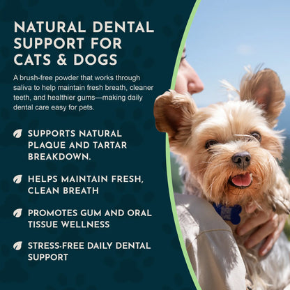 Sea-Dent Anti-Plaque Powder for Dogs and Cats - Dental Support with Organic Kelp and Plant Enzymes