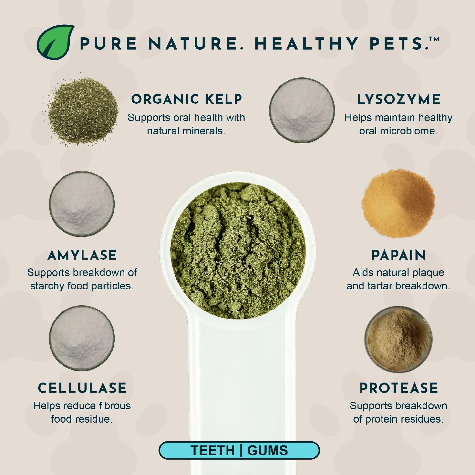 Sea-Dent Anti-Plaque Powder for Dogs and Cats - Dental Support with Organic Kelp and Plant Enzymes