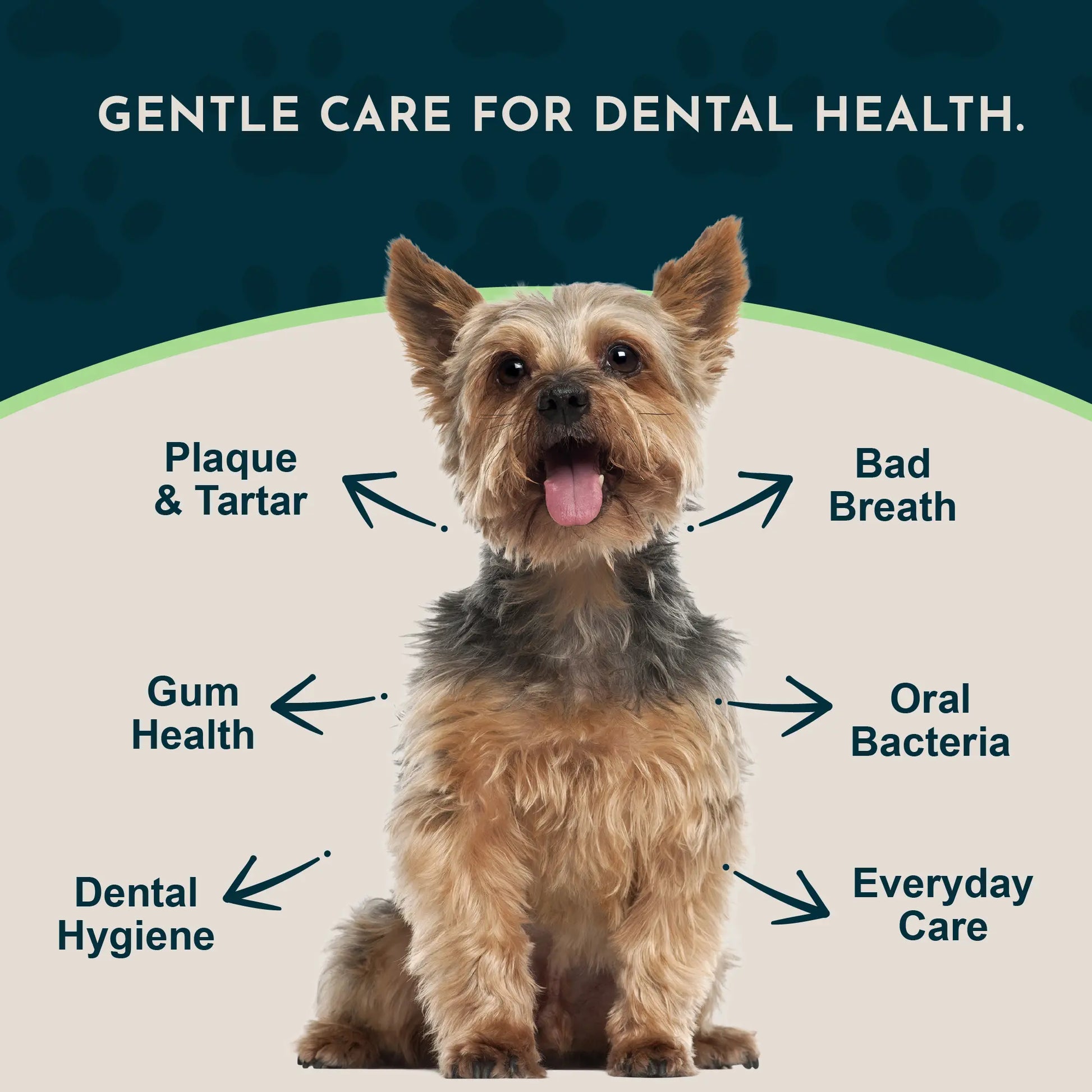 Sea-Dent Anti-Plaque Powder for Dogs and Cats - Dental Support with Organic Kelp and Plant Enzymes