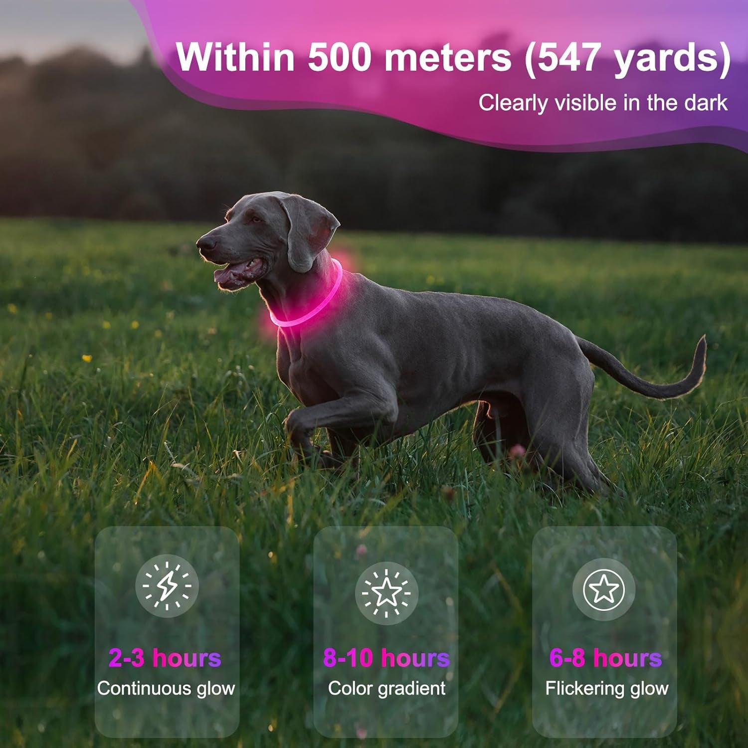 Rechargeable Waterproof LED Dog Collar - Customizable TPU Glow-in-the-Dark Light for Night Walking (Pink)