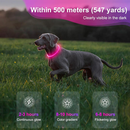 Rechargeable Waterproof LED Dog Collar - Customizable TPU Glow-in-the-Dark Light for Night Walking (Pink)