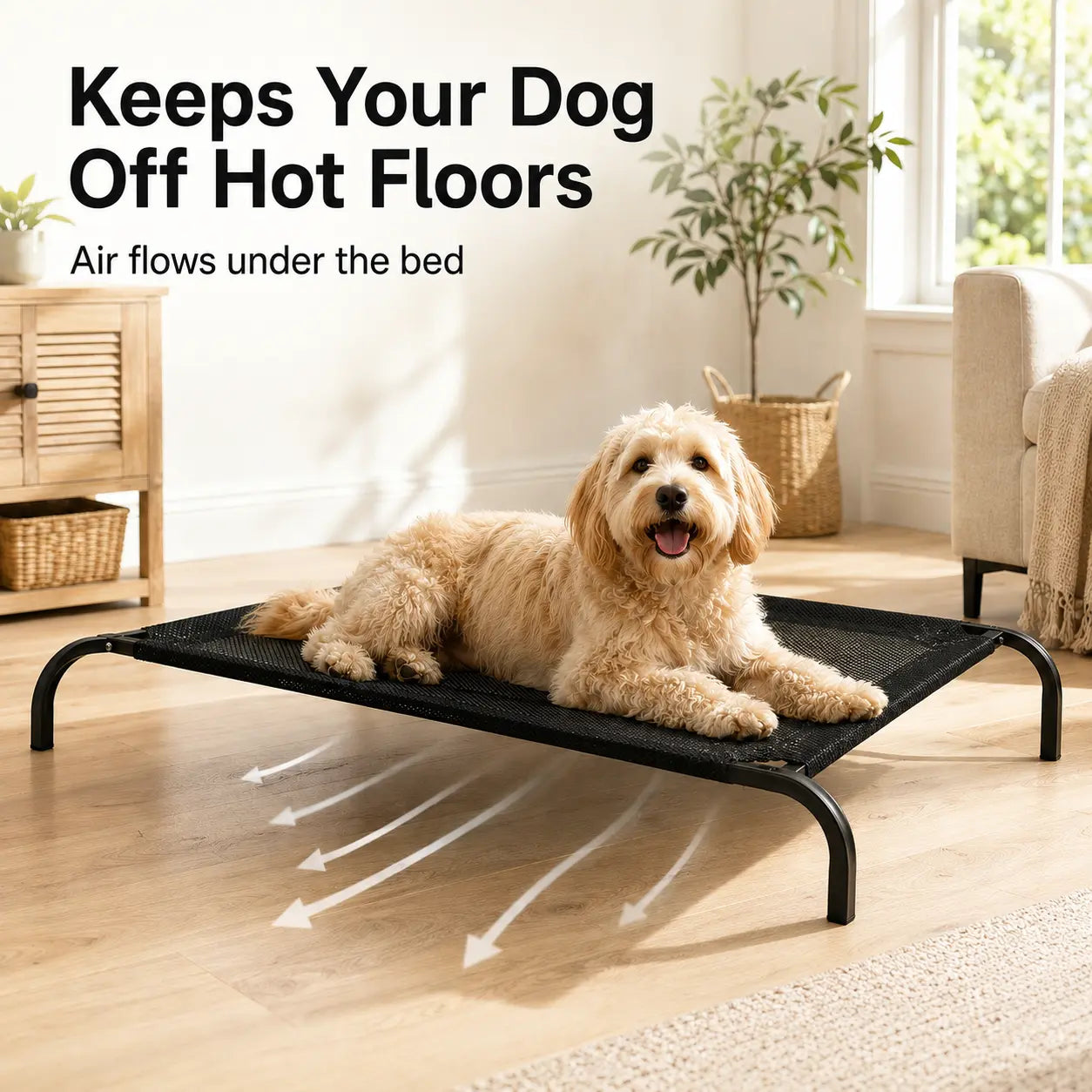 Elevated Cooling Dog Bed for Small to Medium Breeds - 36.2" L x 23.6" W x 5.9" H, Breathable Mesh Raised Cot with Durable Metal Frame for Indoor and Outdoor Use