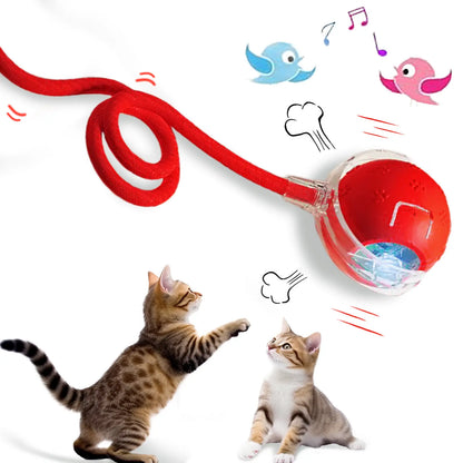 Automatic Rolling Bird Song Ball Toy for Cats and Dogs - Interactive Electric Chasing Toy and Pet Supplies