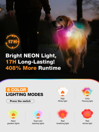 Lekereise USB-C Rechargeable LED Dog Collar Light – Six Modes, Waterproof Silicone Safety Collar for Night Walking, Running, and Camping