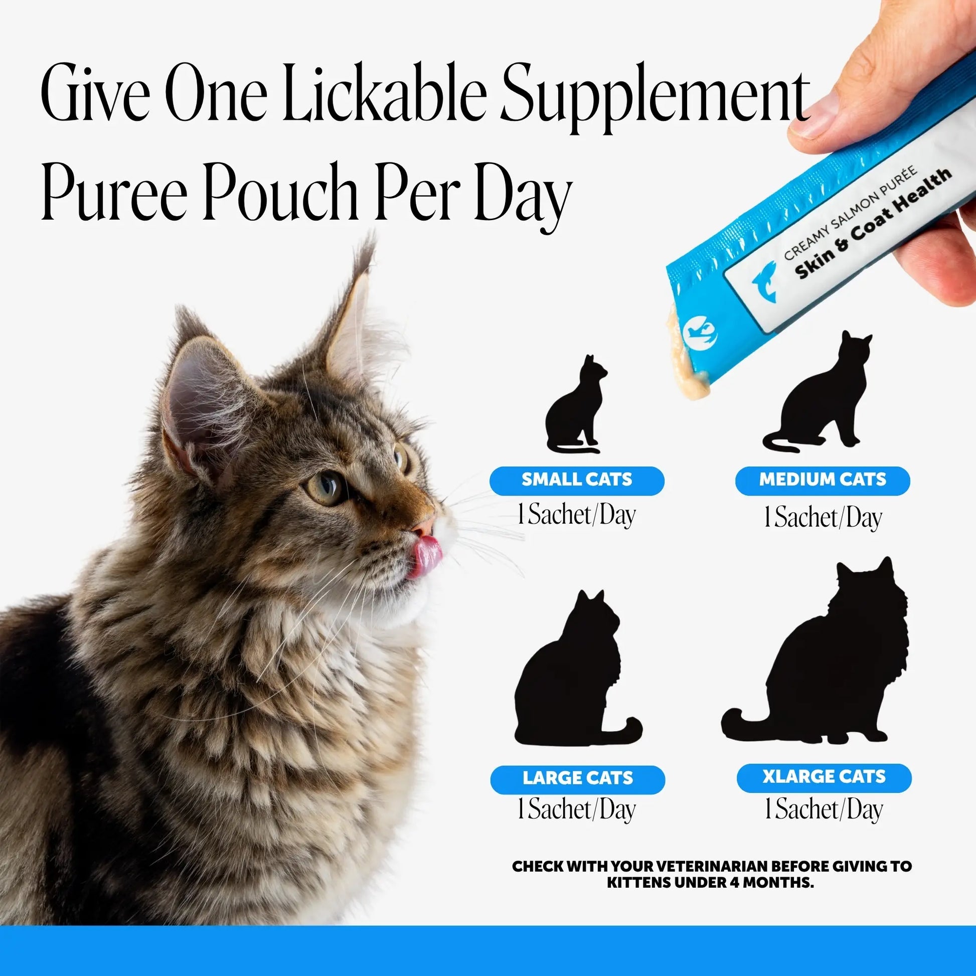 Pet Honesty Squeezables Skin & Coat Health Lickable Supplement for Cats - 20 Pouches